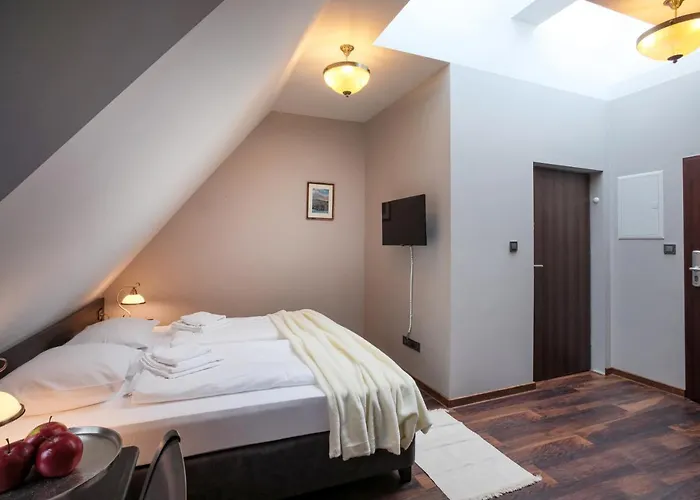 Zeppelin Simple Acomodation